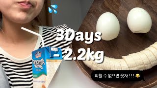 SUB🔥3일만에 22kg 감량🔥  급진급빠  3일 다이어트  전효성 다이어트 변형 [upl. by Enyallij]