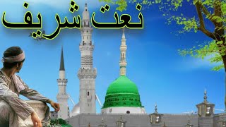 Pashto Naat  Manga Ashakan you Pa Nabi Aher Zaman  Manga Pak Rasool Bande Rawre de Eman نعت شریف [upl. by Simpson688]