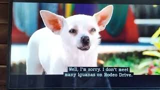 Beverly Hills Chihuahua2008 Delgado yells at Chole Scene [upl. by Einiffit]