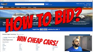 How to Bid on Cars at Copart  What Broker I Use [upl. by Garling]