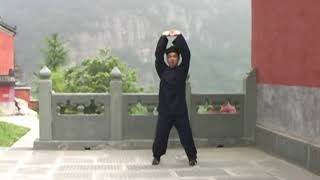 Practicing Qi Gong with Master Chen Shiyu  Part 1 [upl. by Gasparo749]