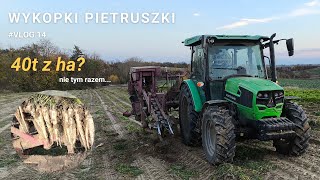 Zbiór pietruszki  Wschody determinują plon Vlog 14 [upl. by Eislehc507]