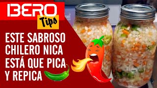 ✅ UN CHILERO NICA QUE PICA Y REPICA DE VERDAD IBERO TIPS UN NICA EN ESPAÑA [upl. by Negaem]