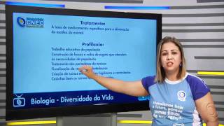 Platelmintos como agentes causadores de doenças [upl. by Elrod]