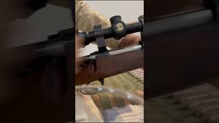 Zastava bolt action 308 review fireworks ammofever ffgunreview ak47shorts short shortvideo [upl. by Mcculloch]