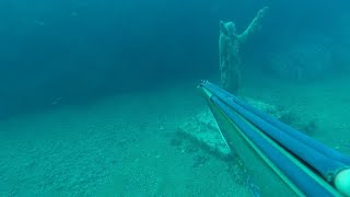 RICCIOLE  CORVINA BISONTE e CRISTO pescasub nel bassofondo per principiantiArbatech [upl. by Lorraine]