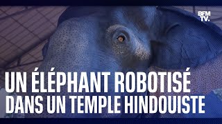 Un éléphant robotisé dans un temple hindou contre la maltraitance animale en Inde [upl. by Yrgoerg]