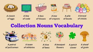 Daily Use English Words of Collective Nouns with Meaning and Pictures  English Listen and Practice [upl. by Sacci663]