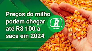 Preços do milho podem chegar até R 100 a saca em 2024 [upl. by Ardnekan]