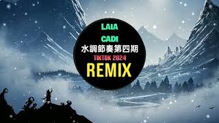 Laia Cadi 水調節奏第四期 DJ小G Remix Tiktok 2024 迷幻旋律 DJ抖音热播  Hot Tiktok Douyin [upl. by Kevan]