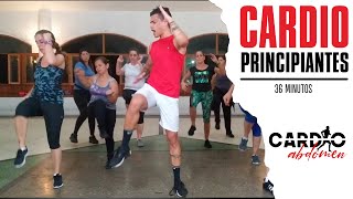 Rutina de Cardio Super Divertida Sin Saltos 30 minutos principiantes [upl. by Neoma]