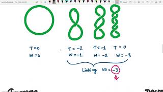 DNA Supercoiling I Positive and negative supercoiling I Linking number I Type of Topoisomerases [upl. by Enert]