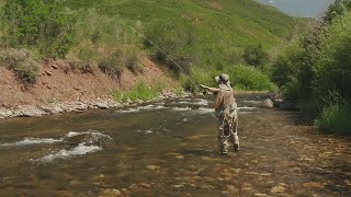 Fly Fishing the North Fork White River Colorado [upl. by Moss]