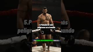 Para ti ¿cuál es el más peligroso🤔 Suscribanse para más contenido artesmarciales mma fypシ゚viral [upl. by Anirtep]