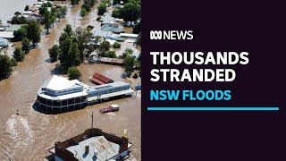 Rooftop rescues and flash flooding after intense storms hit NSW  ABC News [upl. by Inor]