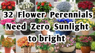 32 Flower Perennials for Garden  Shade Loving Perennial flowers for Backyard  Plant and Planting [upl. by Nelrah]