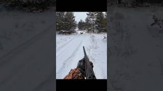 deer hunting is snow airhuntinghuntinggameelkhuntwildlifedeer [upl. by Aim]