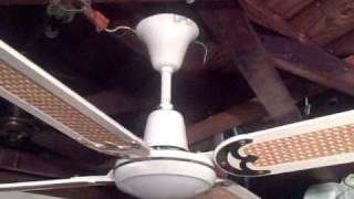 Moss Tropical Breeze Ceiling Fan Model TFP  348 With Wicker Blades [upl. by Eed]