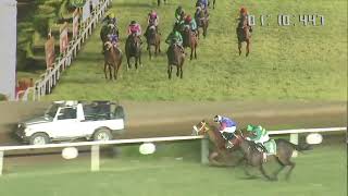 STREET SENSE wins The Hong Kong Jockey Club Trophy Div2 [upl. by Sotnas]