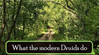 What do the modern Druids do [upl. by Annairt]