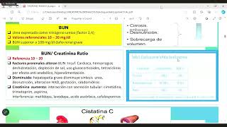 Lab y fx renal  Unidad 1 Patología clínica  sem 2 [upl. by Troxell]