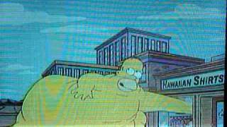 I like Big Guts by Homer Simpson [upl. by Averat]