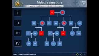 Genetica 03  Malattie genetiche e genetica di popolazione [upl. by Gaston]