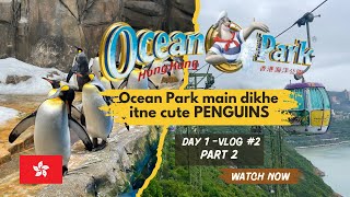 Ocean Park Hong Kong  The Summit  Vlog 2 Part  2  Travel Guide  Hong Kong amp Macau Travel Vlog [upl. by Ahrat]