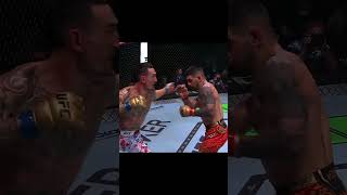 Ilia Topuria vs Max Holloway shorts [upl. by Olecram756]