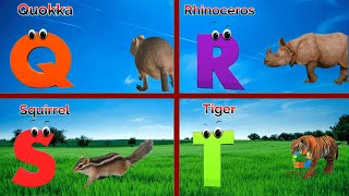 Animal phonics song for kids Alphabets phonics for kids Phonics Song for toddlers kindergarten [upl. by Paugh]