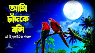 Syed Sajidul  বাংলা গজল আমি চাঁদকে বলি  Ami Chand Ke Boli Video Ghazal  Gojol  গজল gojol গজল [upl. by Terry327]