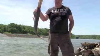 2014 Snagging paddle fish Nashville Tennessee [upl. by Lerraf669]