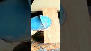 How toBuild a screw that does not protrude from the wood surface shorts [upl. by Caresa470]