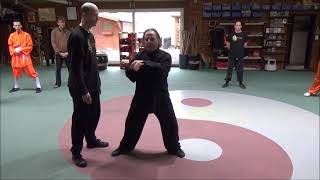 Grandmaster Walter Toch explain use distanse Taiji Chen mouvement for selfdefense [upl. by Repinuj]