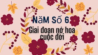 Năm Cá Nhân Số 6  Giai Đoạn Nở Hoa Cuộc Đời quotHọc Viện Thần Sốquot [upl. by Aisatana]