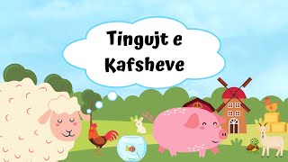 Këngë për fëmijë │ Tingujt e Kafshëve │ Babagjyshi [upl. by Eliezer]