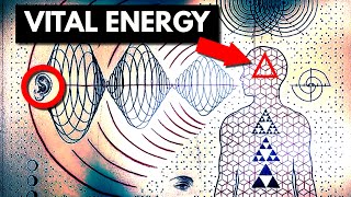 The 12 core aspects within VITAL ENERGY [upl. by Nodnyl309]