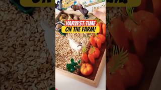 Harvest time on the farm diy kidsactivities sensoryplay [upl. by Cleavland]