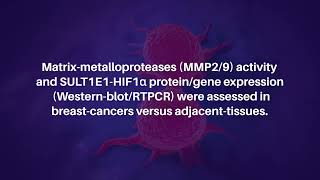 DialylSulfide and TransChalcone Prevent Breast Cancer by Targeting SULT1E1 and HIF1aMMPs [upl. by Aeniah]