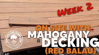 On The Job Site With Mahogany DeckingRed Balau  Week 2 [upl. by Eddana957]