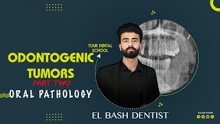 odontogenic tumors  part 2  oral pathology عزت شومان [upl. by Loggins]