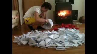 Biggest 3D Origami Swan [upl. by Wier]