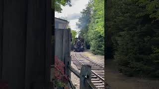 Silver wood theme park silverwood steamtrain [upl. by Bryanty37]