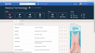 How to use Quizlet [upl. by Donny110]