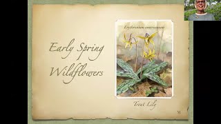 IUN Community Garden Early Spring Wildflowers  2024 [upl. by Nolur]