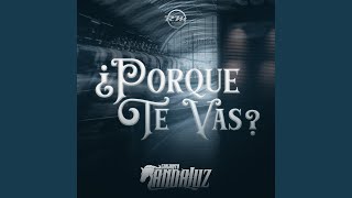 ¿Porque Te Vas [upl. by Clarette470]