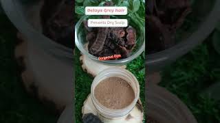 Shikakai Benefits for hair Shikakai Powder for hair washhair growth hairfalldandruff black hair [upl. by Armillas]