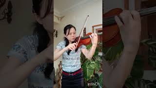 Serenade by Mozart Strictly Strings violin [upl. by Coffee]