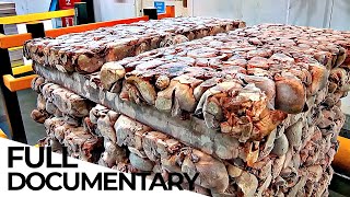 Inside The Pet Food Factory  ENDEVR Documentary [upl. by Romilly518]