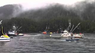 Sitka Herring 2011 First Opener [upl. by Avruch]